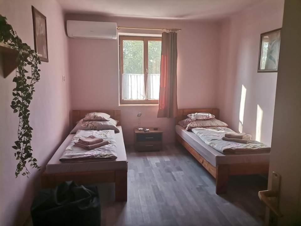 Pázsit-tó Vendégház Békésszentandrás Extérieur photo